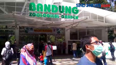Dinkes Kota Bandung...