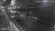 Viral, Detik- Detik...