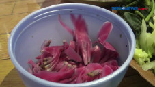 Pecel Legendaris Sajikan...