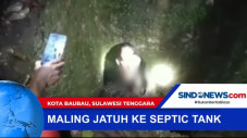 Maling Jatuh Ke Septic...