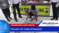 Polisi Menangkap Pelaku...