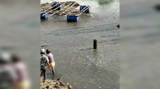 Warga Dikejutkan Ribuan...