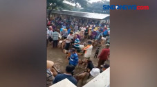 Viral! Pasar Hewan di...
