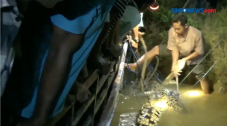 Kerap Lukai Warga, Buaya...
