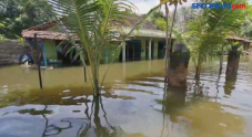 Dua Pekan Banjir Masih...