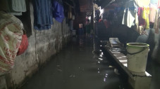 Banjir Setinggi 50 Cm...