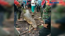 Terjebak Perangkap,...