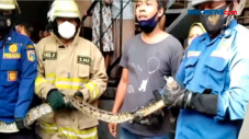 Petugas Damkar Jakarta...