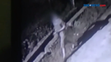 Terekam CCTV, Sejoli...
