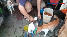 Rumah Dirusak Gara-gara...