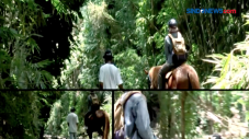 Bale Kuda Stable, Wisata...