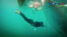 Seru! Berenang Bersama...