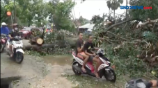 Badai Seroja Hantam...