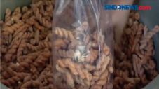 Bisnis Manis Kue Otere-otere,...