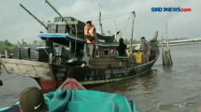 Penyelundupan Ratusan...