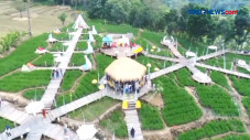 Wisata Persawahan di...