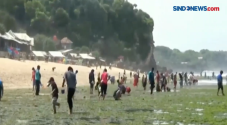 Puluhan Wisatawan Pantai...