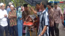 Pohon Tumbang Timpa...
