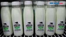 Rasakan Kesegaran Susu...