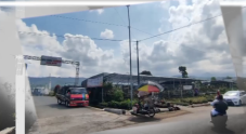 Mal Tanaman Hias Destinasi...