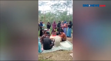 Sepasang Pengantin Ijab...