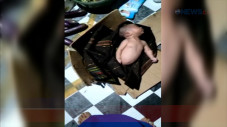 Bayi Dalam Kardus Ditemukan...