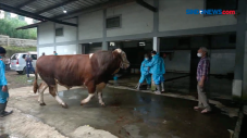 Hindari Klaster Kurban,...