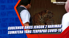 Gubernur Anies Jenguk...
