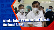 Menko Luhut Pastikan...