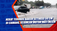 Nekat Terobos Banjir...