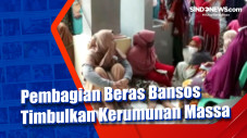 Pembagian Beras Bansos...