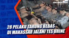 28 Pelaku Tarung Bebas...