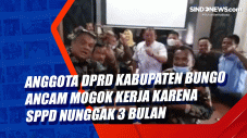 Viral! Anggota DPRD...