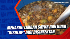 Menarik! Limbah Sayur...