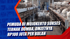 Pemuda di Mojokerto...