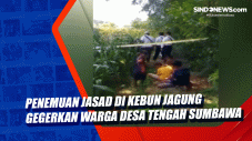 Penemuan Jasad di Kebun...