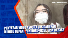 Penyebar Video Asusila...