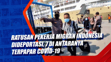 Ratusan Pekerja Migran...