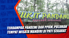 Terdampak Pandemi dan...
