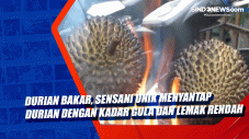 Durian Bakar, Sensani...