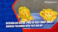 Berjualan Katak, Pria...