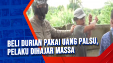 Beli Durian Pakai Uang...