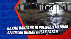 Banjir Bandang di Polewali...