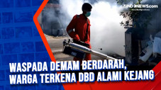 Waspada Demam Berdarah,...