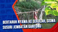 Bertaruh Nyawa ke Sekolah,...