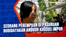 Seorang Perempuan di...