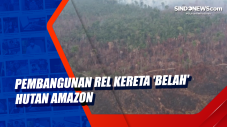 Pembangunan Rel Kereta...