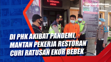 Di PHK Akibat Pandemi,...