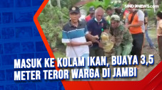 Masuk ke Kolam Ikan,...