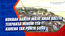 Korban Banjir Wajo,...